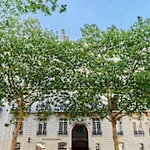 Superb Apartment Arc De Triomphe Trocadero